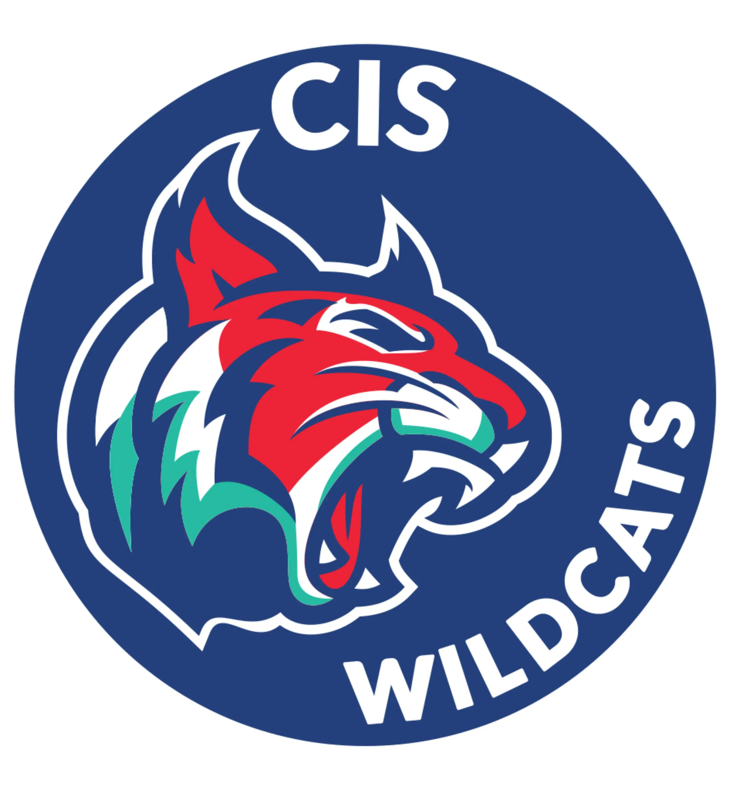 OptimizedImage,Optimized