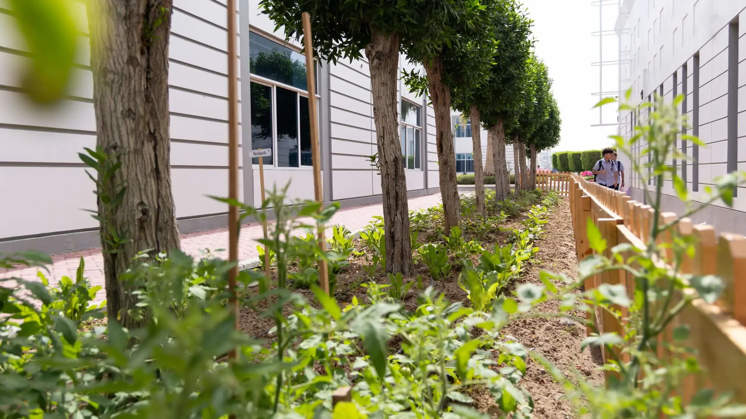 Garden at DIA AB