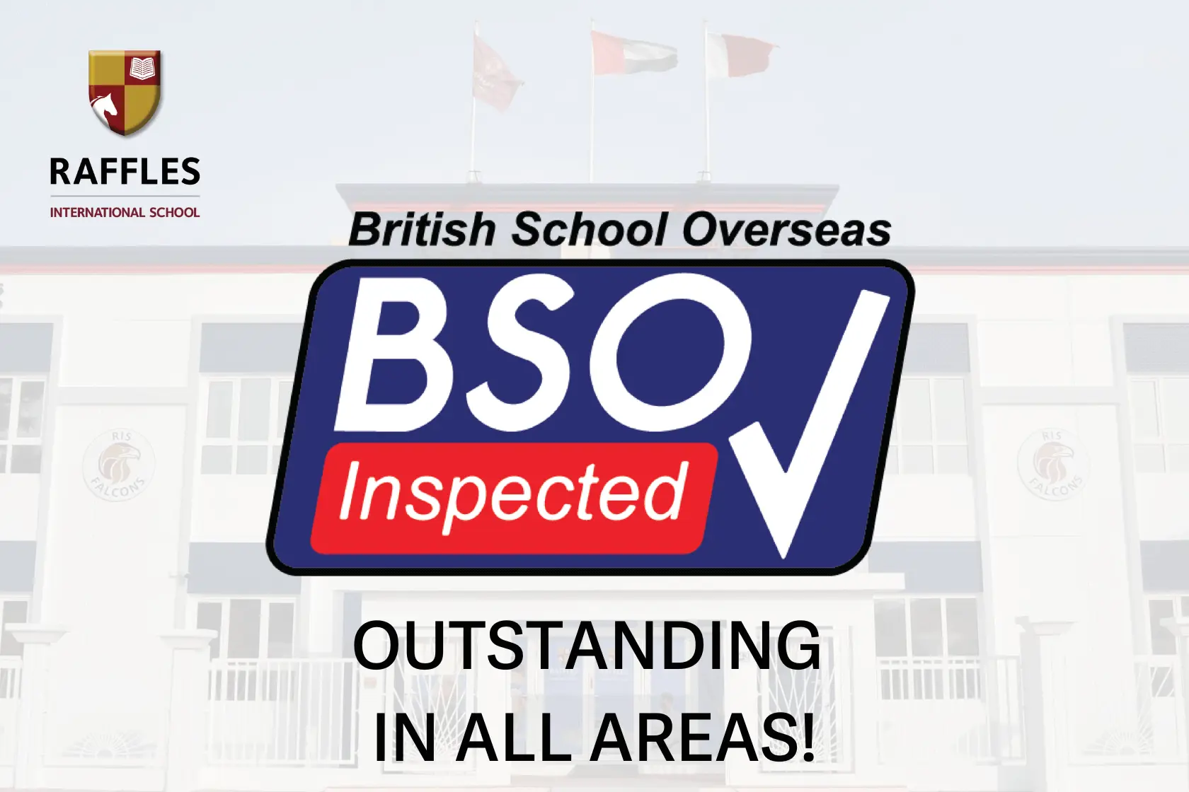  OptimizedImage,Optimized