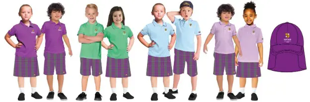 OptimizedImage,Optimized